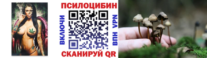 Купить  Чапаевск  Галлюциногенные грибы прущие грибы 